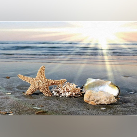 โญ๏ธFIRST LIVEโญ๏ธ - Picture 7 of 16